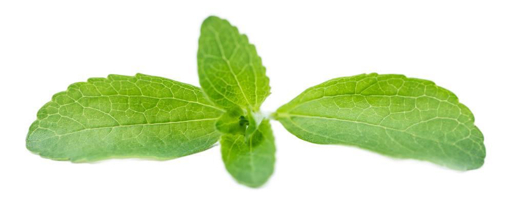 stevia