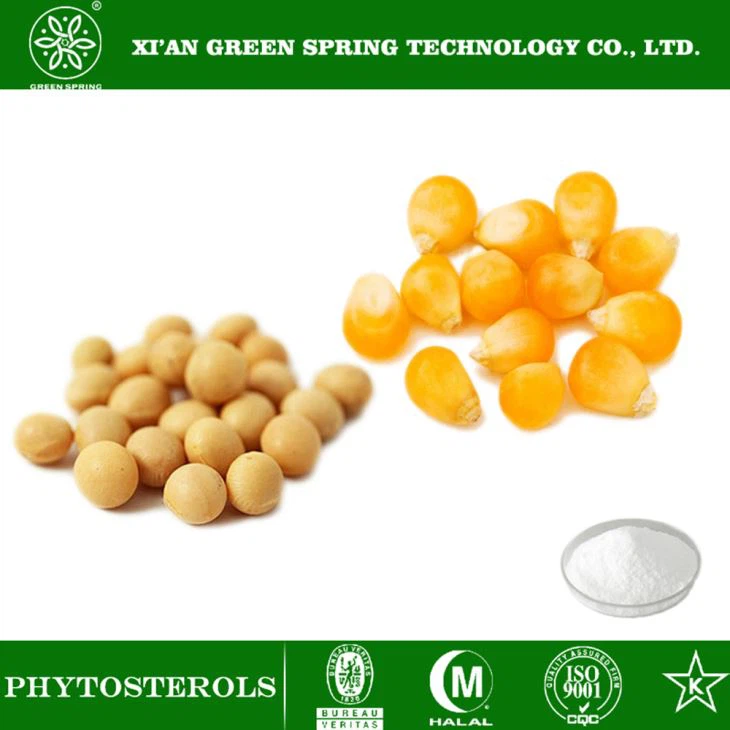 Phytosterol پاؤڈر